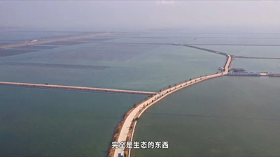刺參工業化養殖技術研發 突破種業‘卡脖子’難題，推動海水養殖創新發展